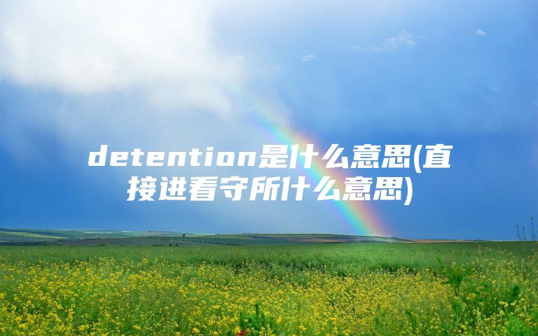 detention是什么意思(直接进看守所什么意思)