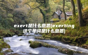 exert是什么意思(exerting这个单词是什么意思)