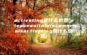 activating是什么意思(pieasewaitwhilecameraisactivating是什么意思)