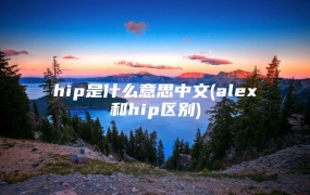 hip是什么意思中文(alex和hip区别)