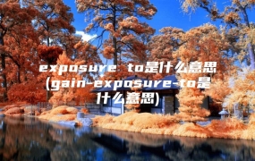 exposure to是什么意思(gain-exposure-to是什么意思)