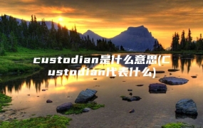 custodian是什么意思(Custodian代表什么)