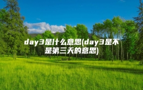 day3是什么意思(day3是不是第三天的意思)