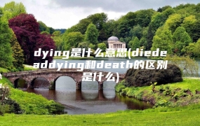 dying是什么意思(diedeaddying和death的区别是什么)