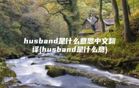 husband是什么意思中文翻译(husband是什么意)