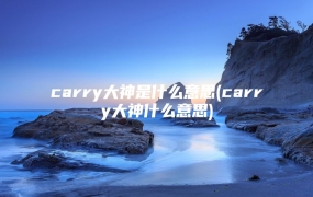 carry大神是什么意思(carry大神什么意思)