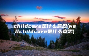 childcare是什么意思(wellchildcare是什么意思)