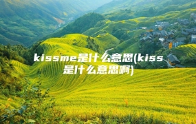 kissme是什么意思(kiss是什么意思啊)