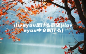 iliveyou是什么意思(iloveyou中文叫什么)