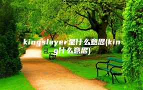kingslayer是什么意思(king什么意思)